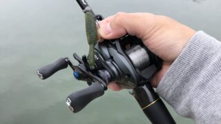 ベイトフィネスの部屋 I Love Bait Finesse Bass Fishing